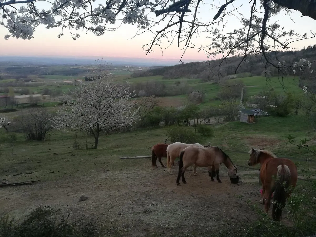Appartement Le Grand Bayle - Oasis Naturelle à Saint-Victor  France